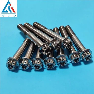 Vijci od legure titana